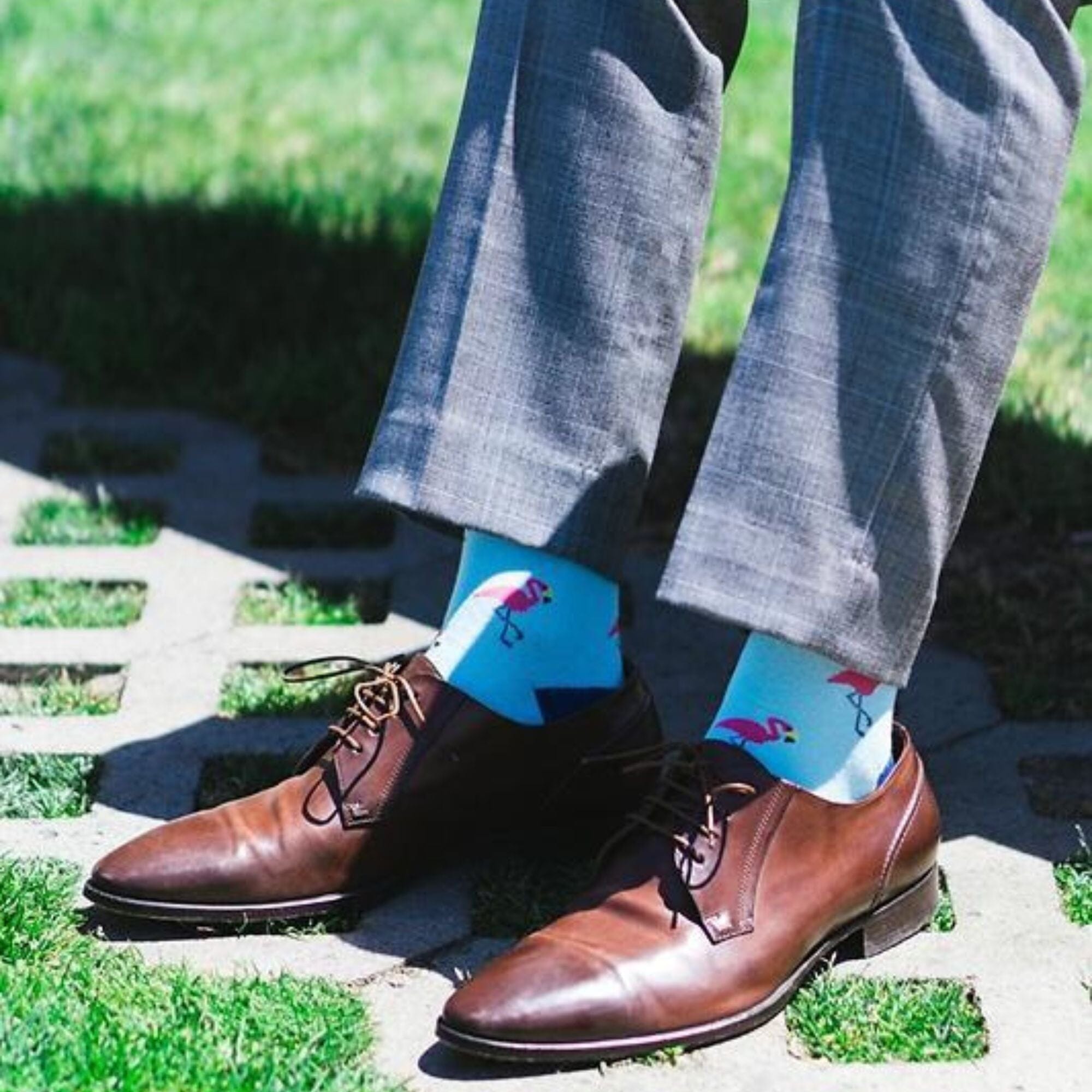 Flamingo Sock Socks Sock Genius 